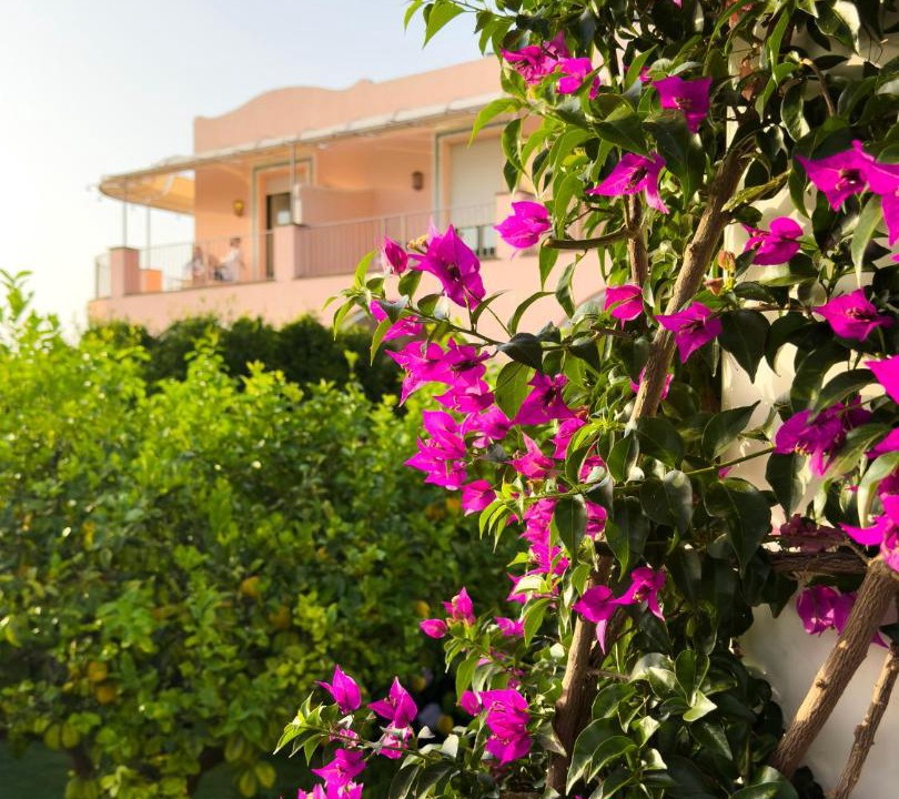 Photo of Others in Anacapri