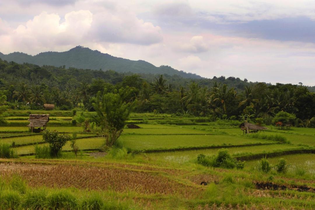 Photo of Outdoor in Manggis