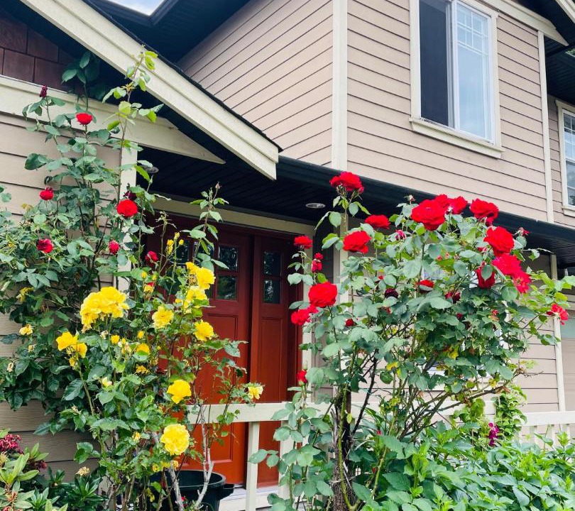 Photo of Buildings in Saanich West