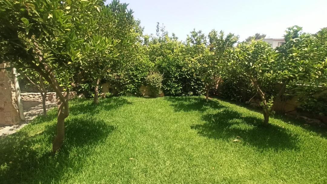 Photo of Outdoor in Spata-Artemida