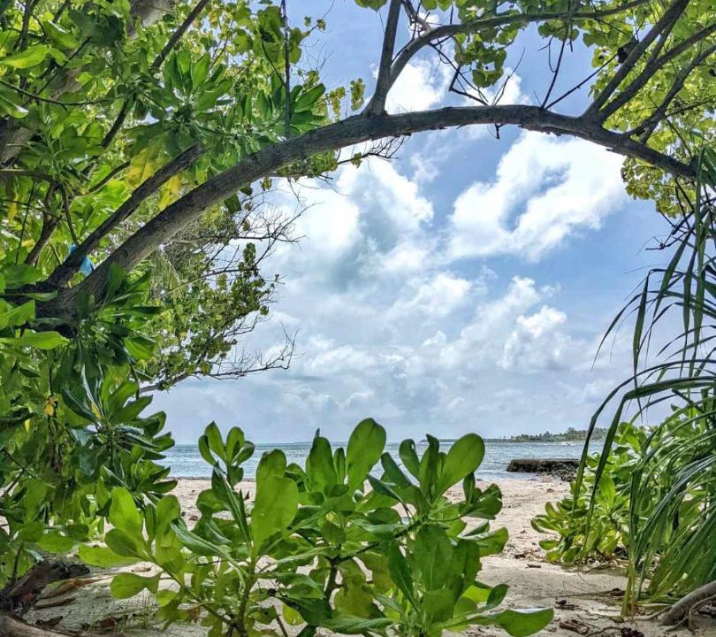 Photo of Others in Thulusdhoo Island