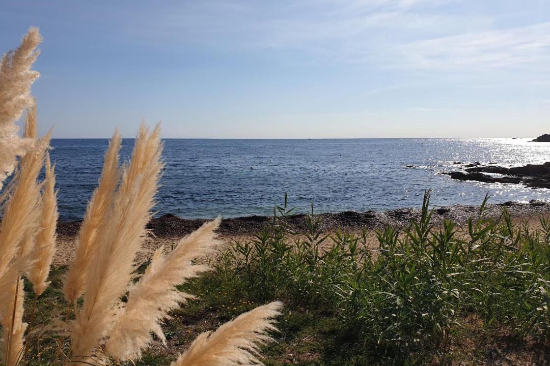 Photo of Others in Ramatuelle
