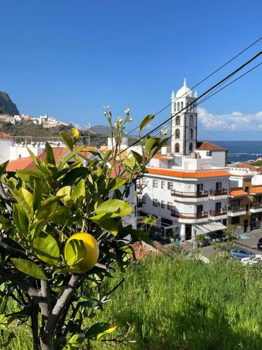 Photo of Others in Garachico