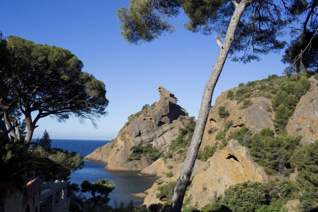 Photo of Others in La Ciotat