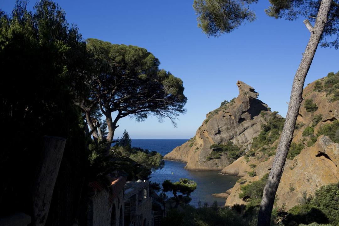 Photo of Others in La Ciotat