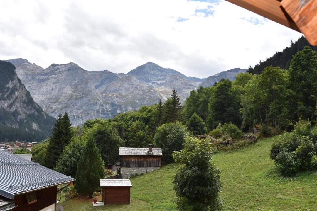 Photo of Others in Pralognan-la-Vanoise