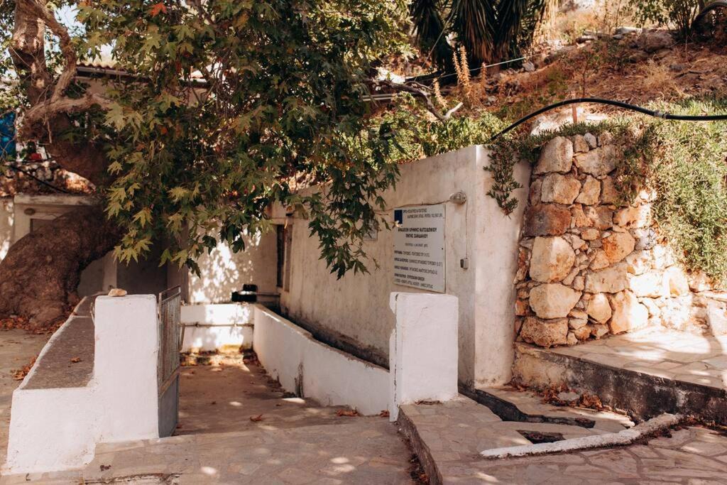 Photo of Others in Sitia