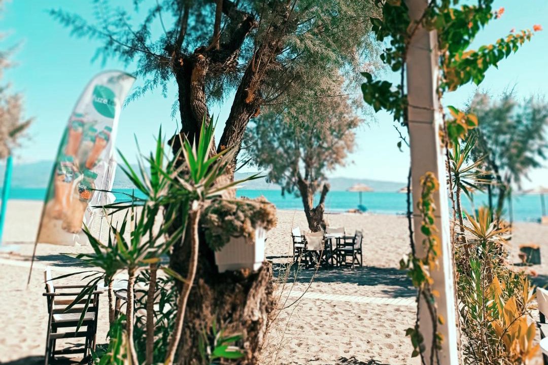 Photo of Others in Skala Kallonis