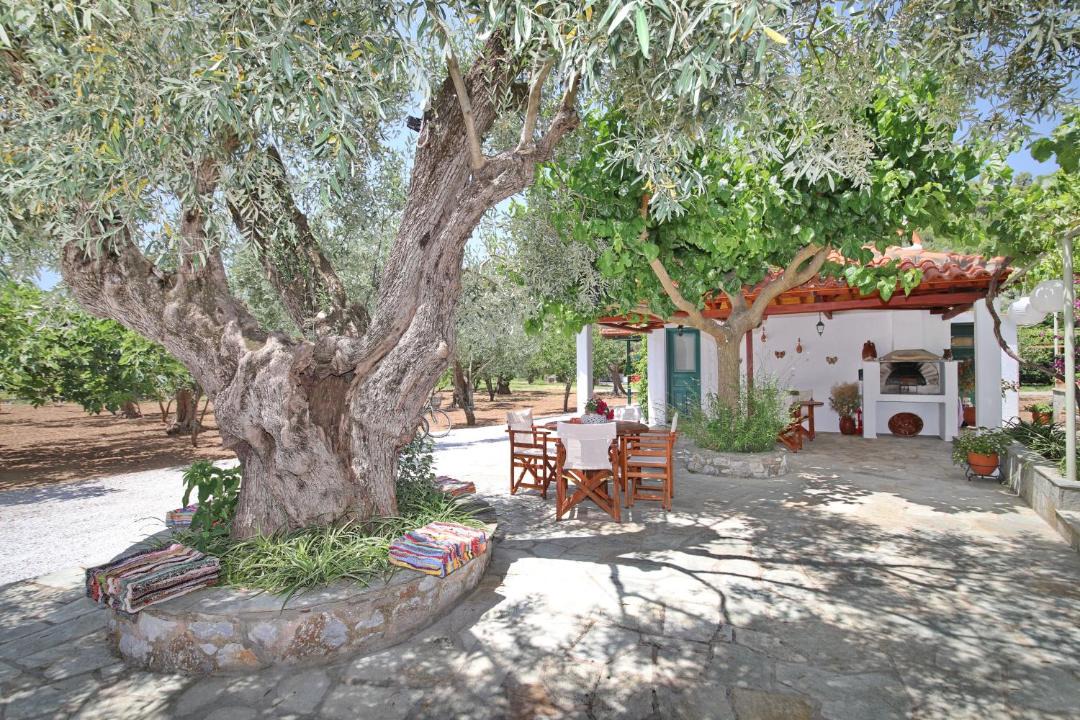 Photo of Others in Panormos