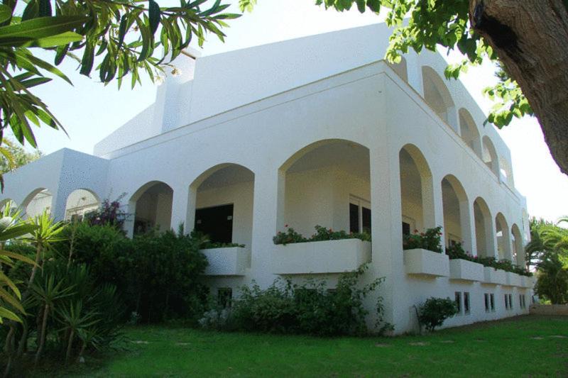 Photo of Others in Platanes