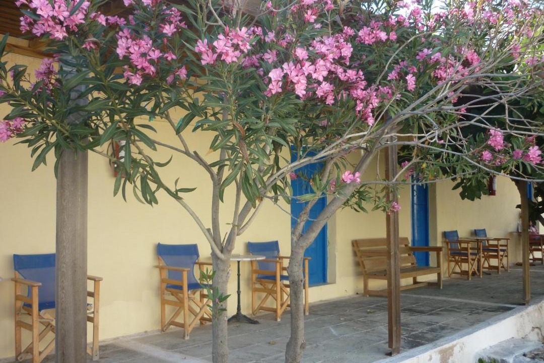 Photo of Others in Perissa