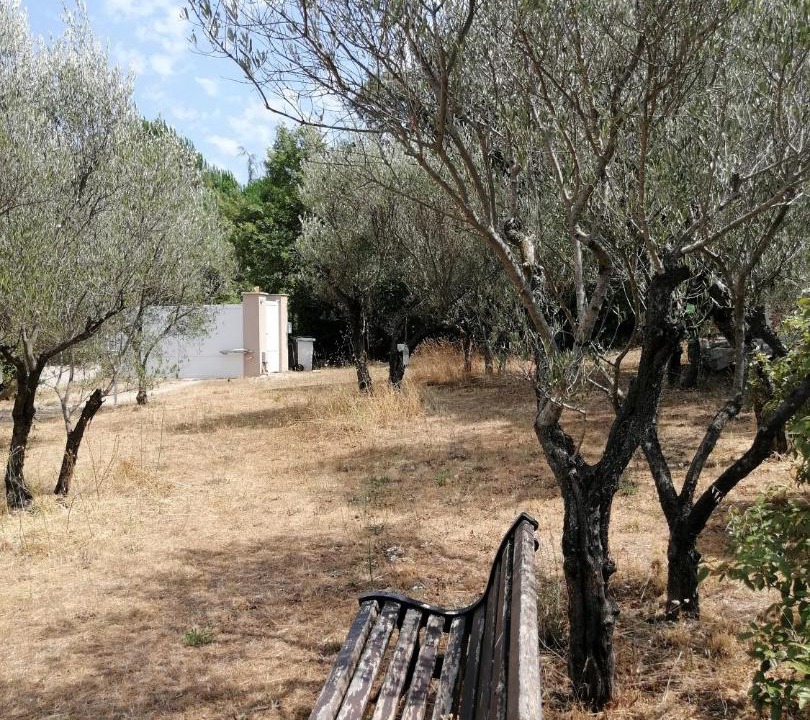 Photo of Others in Gonfaron