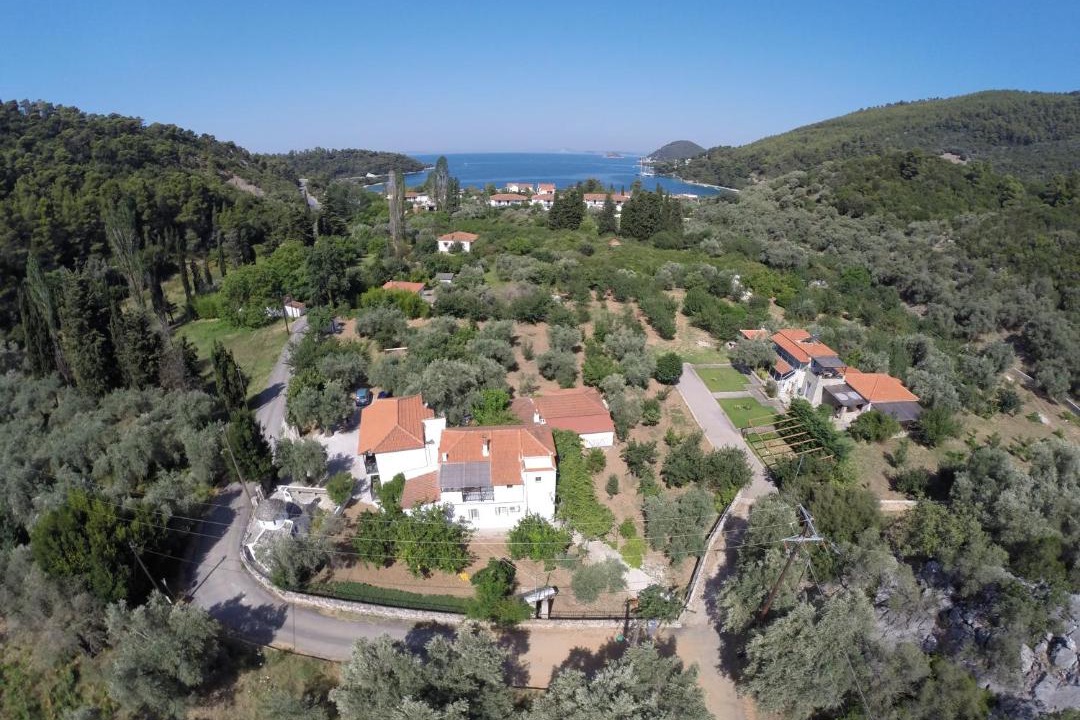 Photo of Others in Panormos