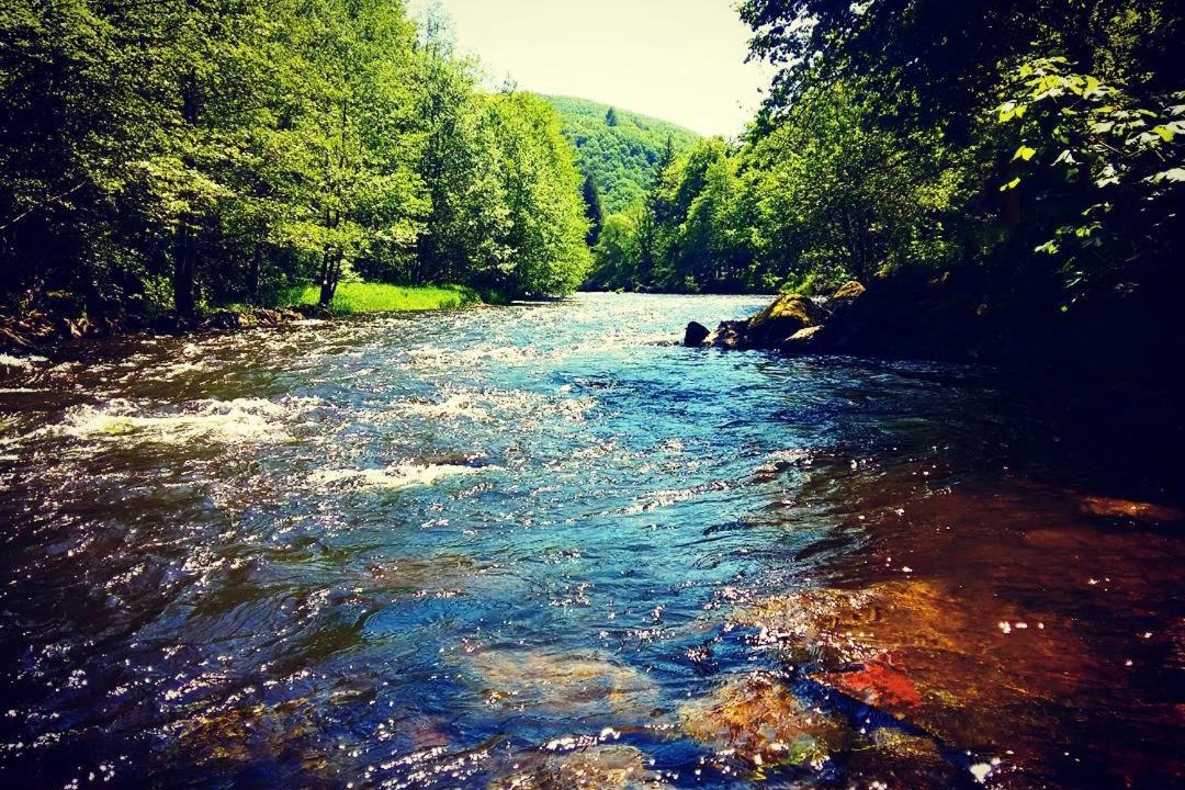 Photo of Others in Bromont