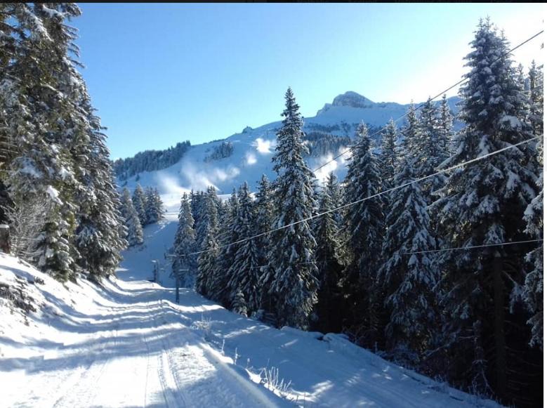 Photo of Others in Thollon-les-Memises