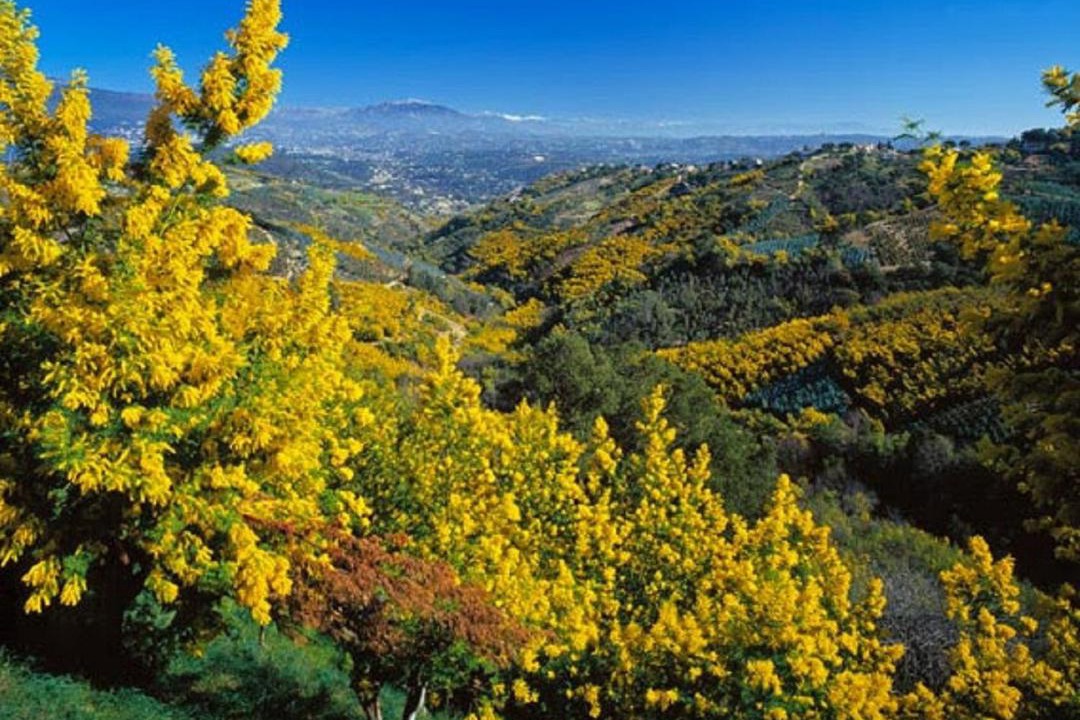 Photo of Outdoor in La Napoule
