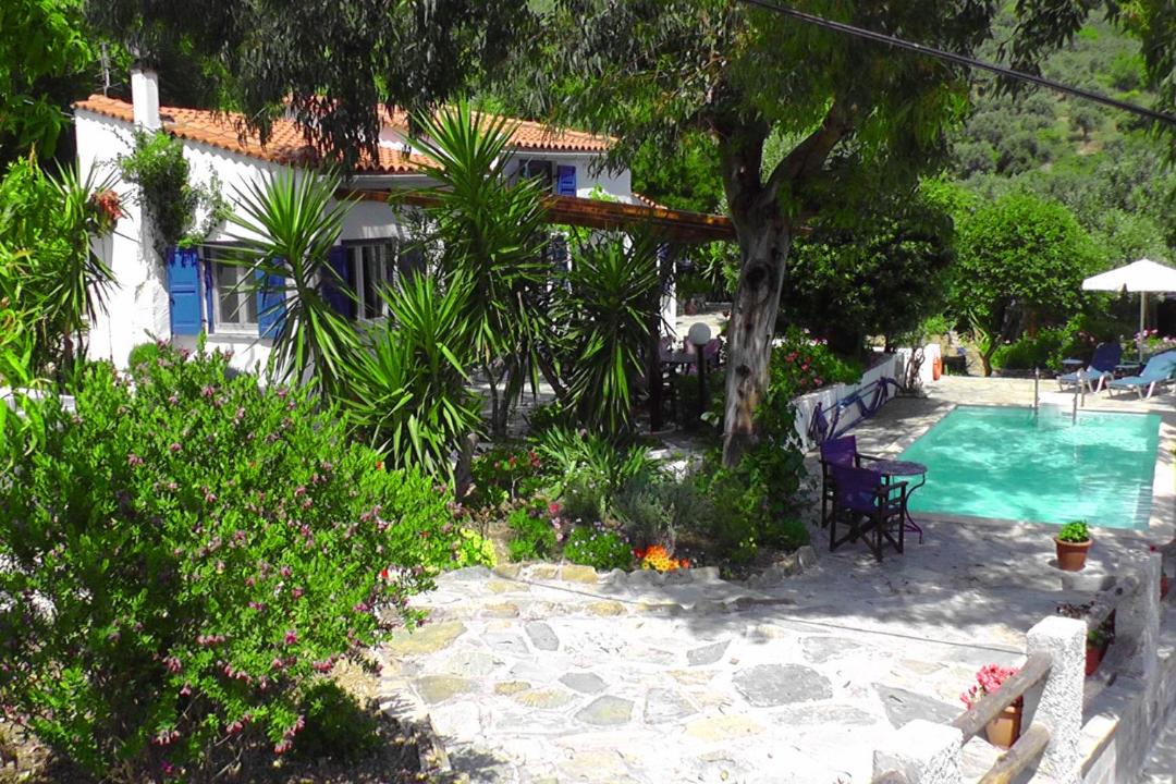 Photo of Others in Skopelos Town