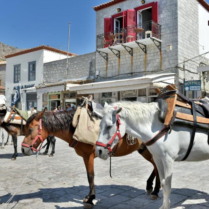 Photo of Others in idhra