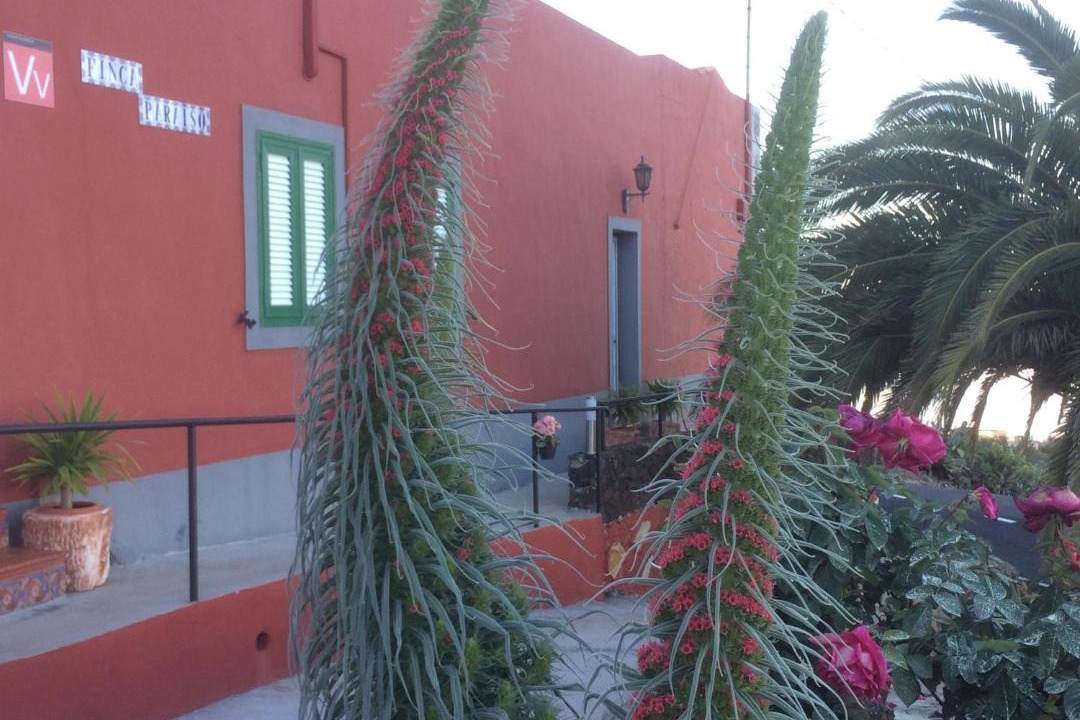 Photo of Buildings in La Escalona