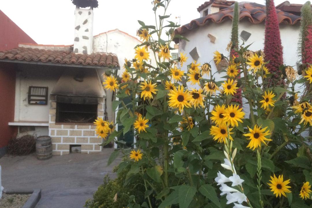Photo of Buildings in La Escalona