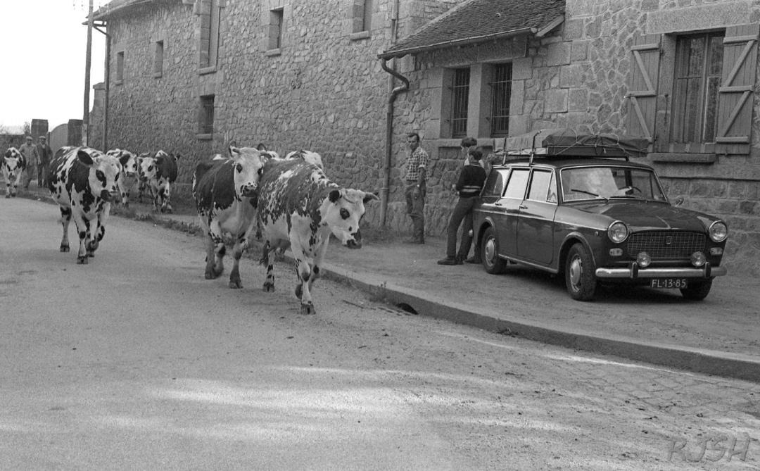 Photo of Others in Bessines-sur-Gartempe