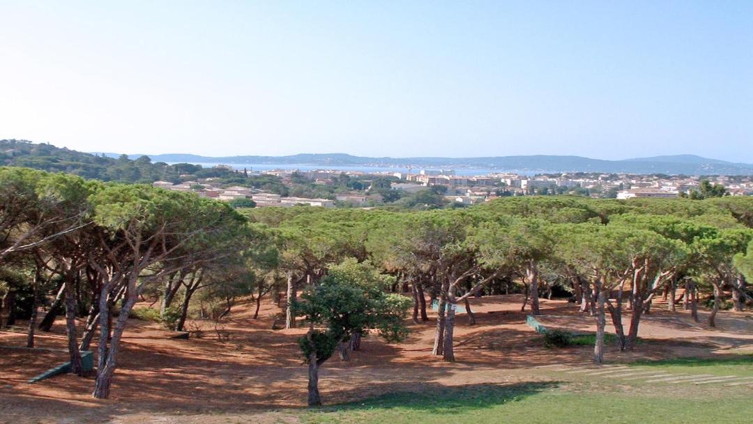 Photo of Outdoor in Sainte-Maxime