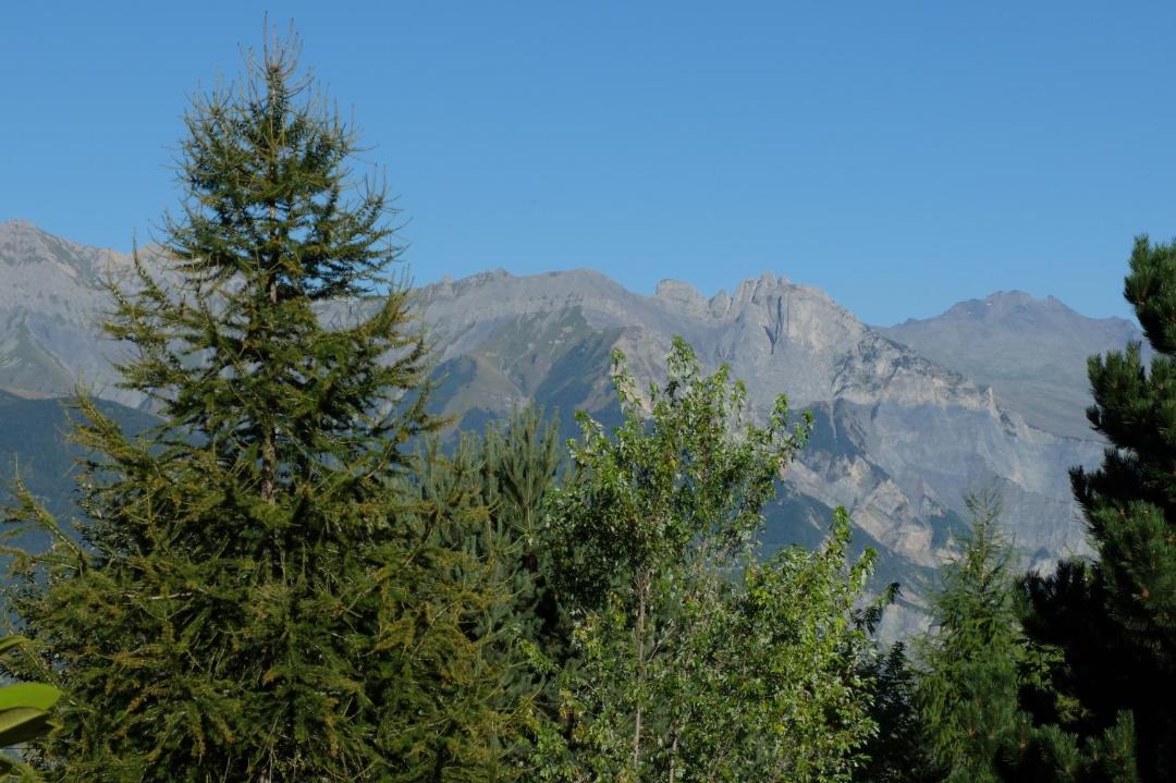 Photo of Others in Les Bottieres