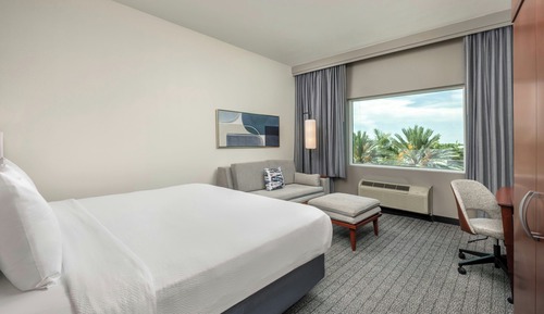 Room, 1 King Bed with Sofa bed