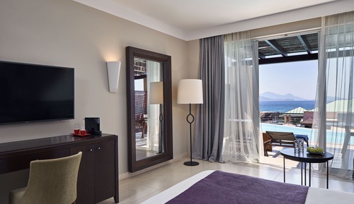 Twin / Double Room Swim Up Sea View