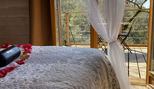 Panoramic Cabin, 1 Double Bed, Non Smoking, Hill View