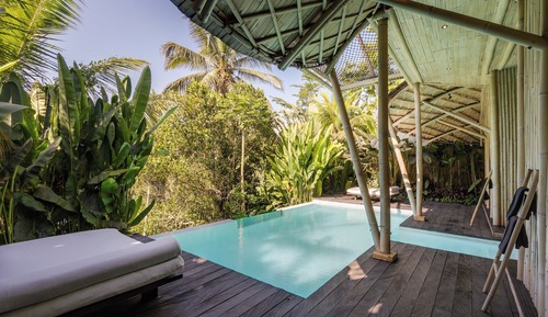 Beetle Villa