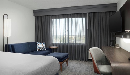 Room, 1 King Bed with Sofa bed