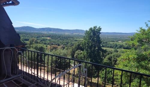 Three-Bedroom Apartment with View