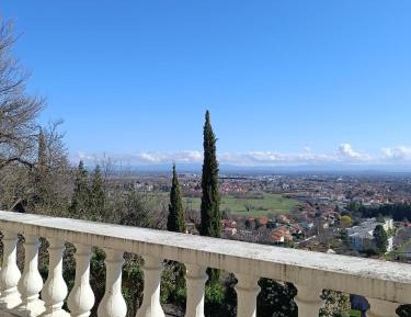 Superior Villa