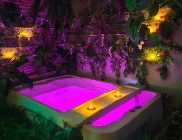 One-Bedroom Apartment with Spa Bath