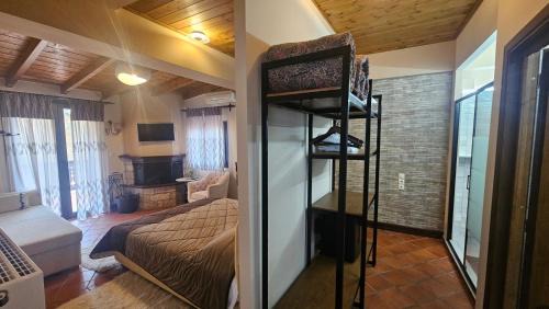 Junior Suite with Terrace