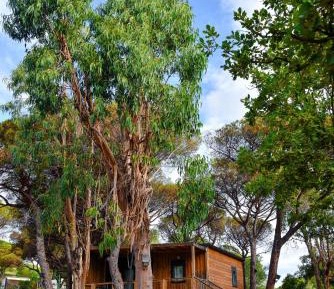 Two-Bedroom Chalet - Canelle