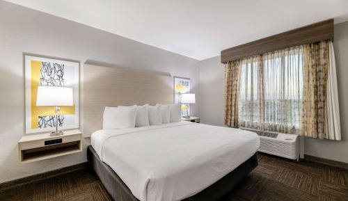 Deluxe King Suite with Sofa Bed