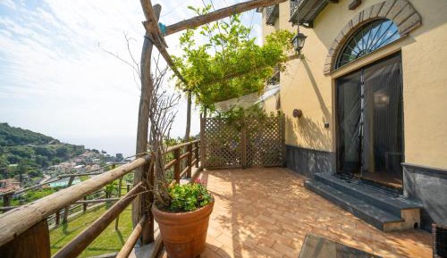 Studio with Terrace