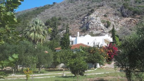 Four-Bedroom Villa