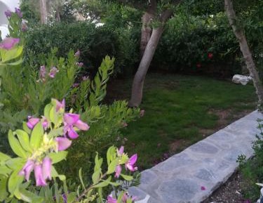 Two-Bedroom Apartment with Garden View