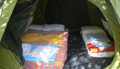 Igloo Tent 