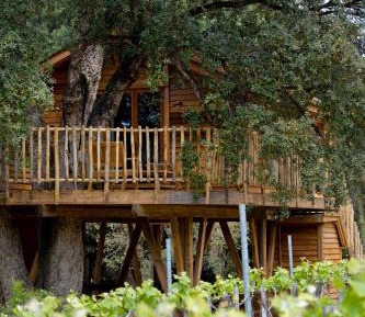 Family Tree House (2 adults + 2 children) - Free Access to Spa and Private Beach